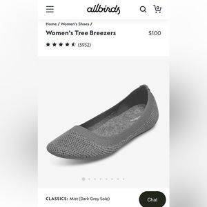 Women’s allbirds flats